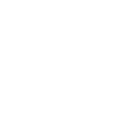 shg-footer-logo-2 Snedden Hall and Gallop Lawyers logo